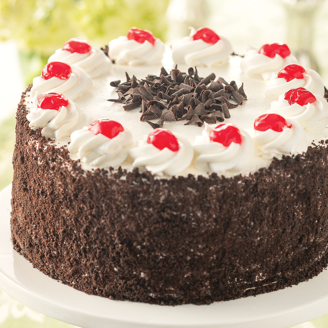 Black Forest Cake, 8 inch, topped with candied cherries and chocolate curls