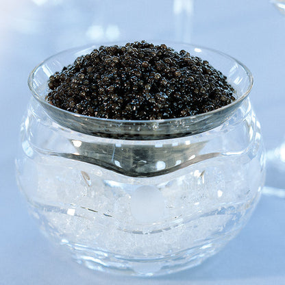 Paddlefish Caviar