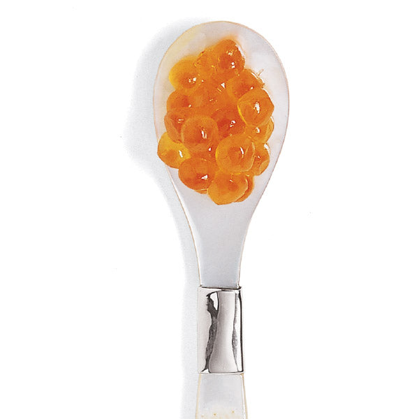 American Salmon Caviar on caviar spoon