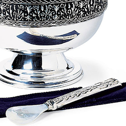 Caviar Spoon with Embossed Silver Handle